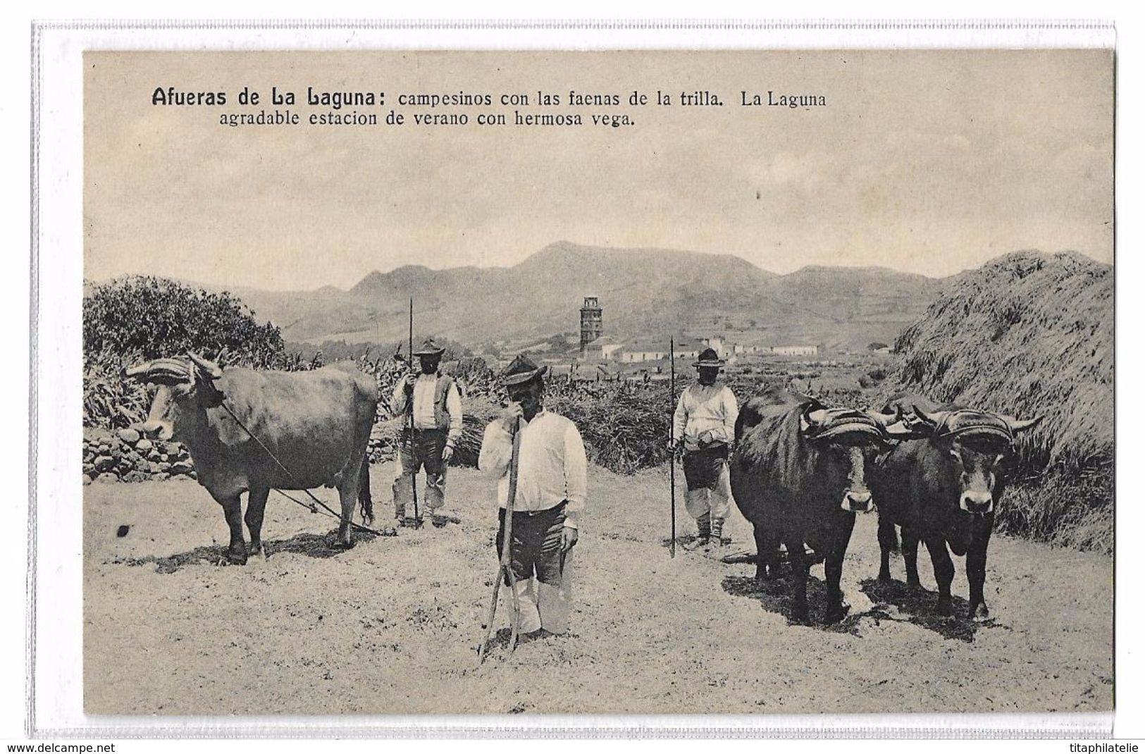 CPA ESPAGNE Espana Afueras De La Laguna Campesinos Con Las Faenas De La Trilla Neuve - Andere & Zonder Classificatie