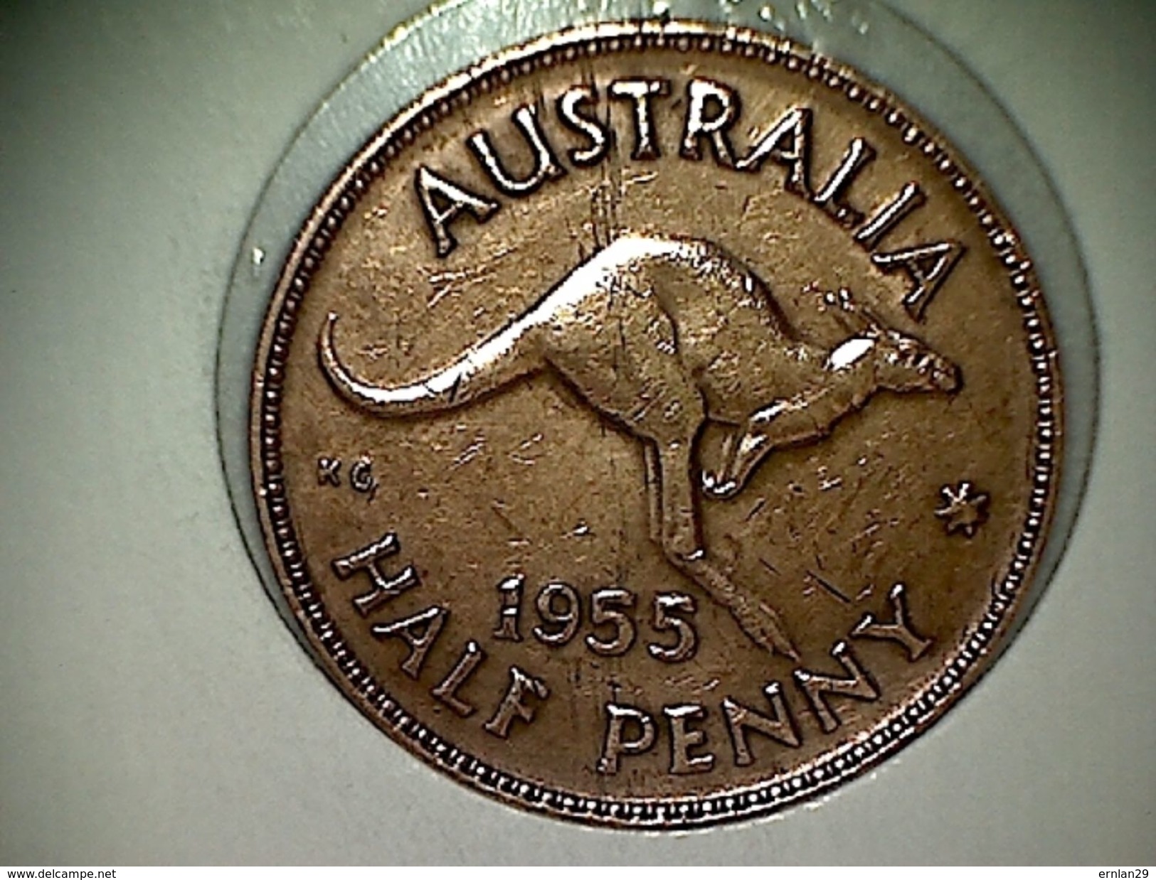 Australie 1/2 Penny 1955 - ½ Penny