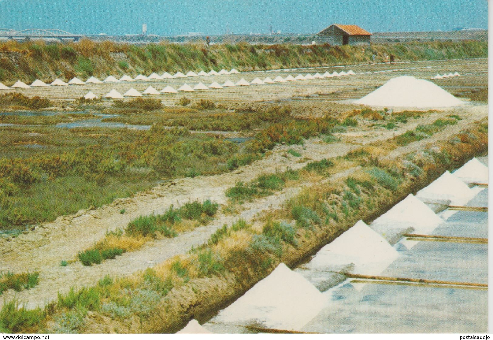 (PT378) FIGUEIRA DA FOZ. SALINAS ... UNUSED - Coimbra