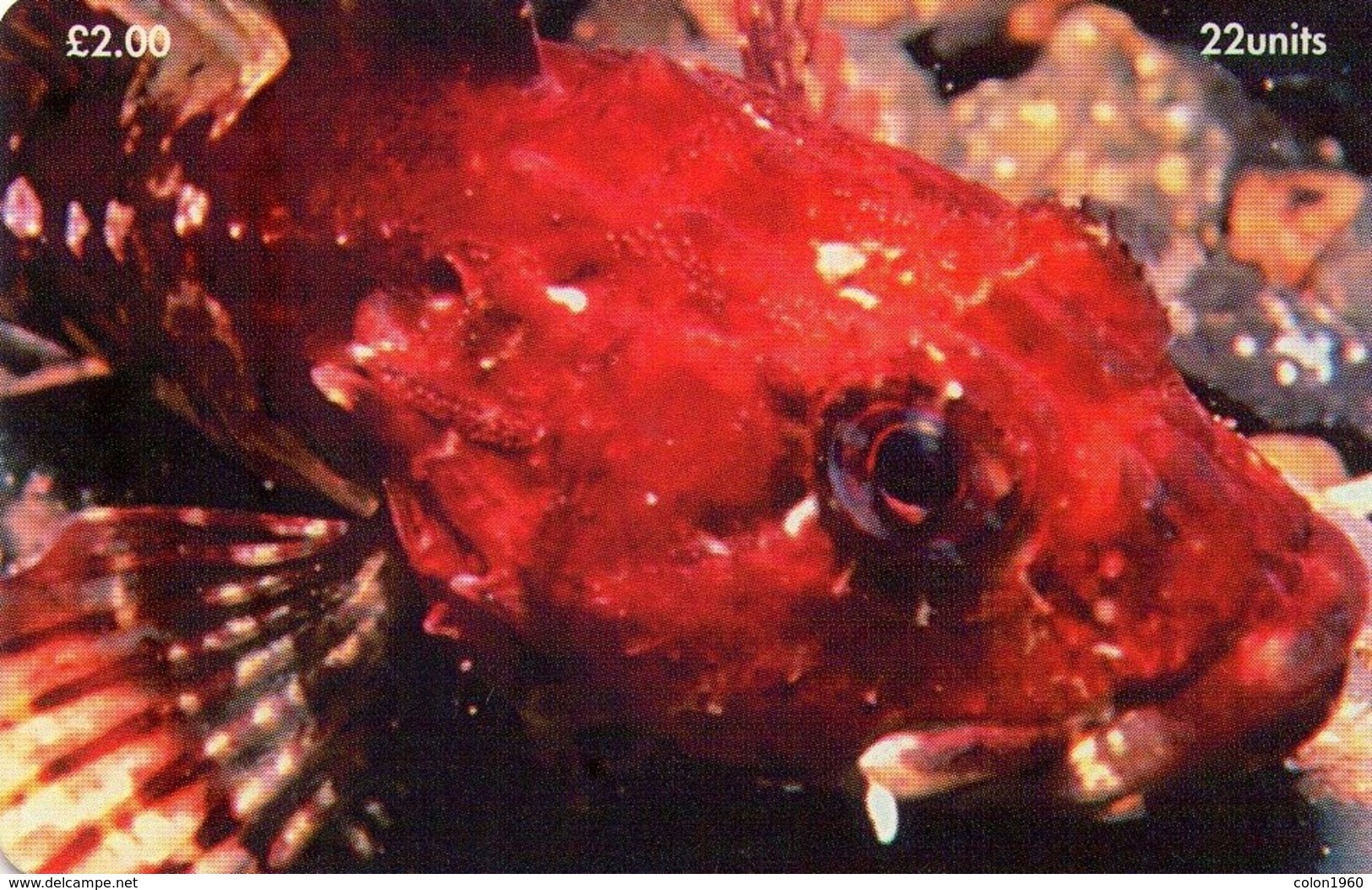 ISLE OF MAN. Scorpion Fish. 1999-01-01. 20000 Ex. IM-TEL-0149. (003) - Eiland Man