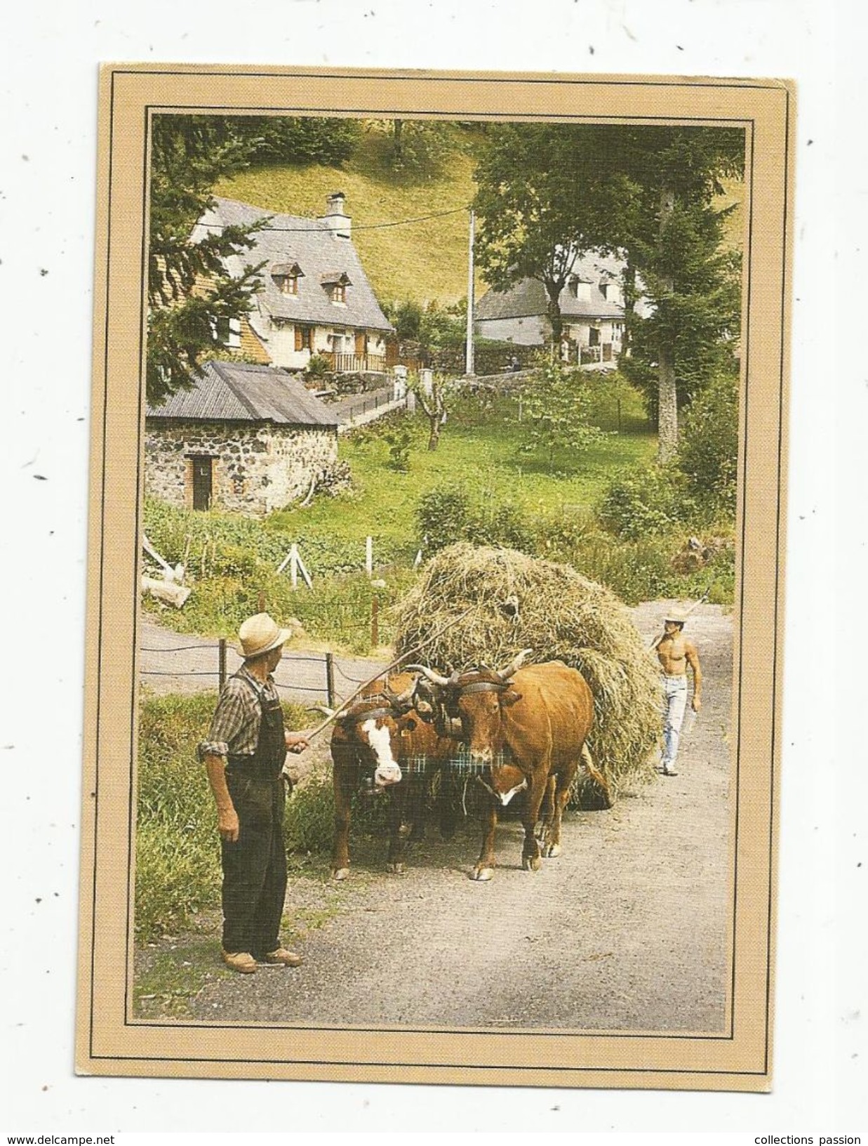 Cp, Agriculture , Attelage De Boeufs Améne Le Char De Foin à La Grange , Voyagée 1991 , Ed : Bos - Teams