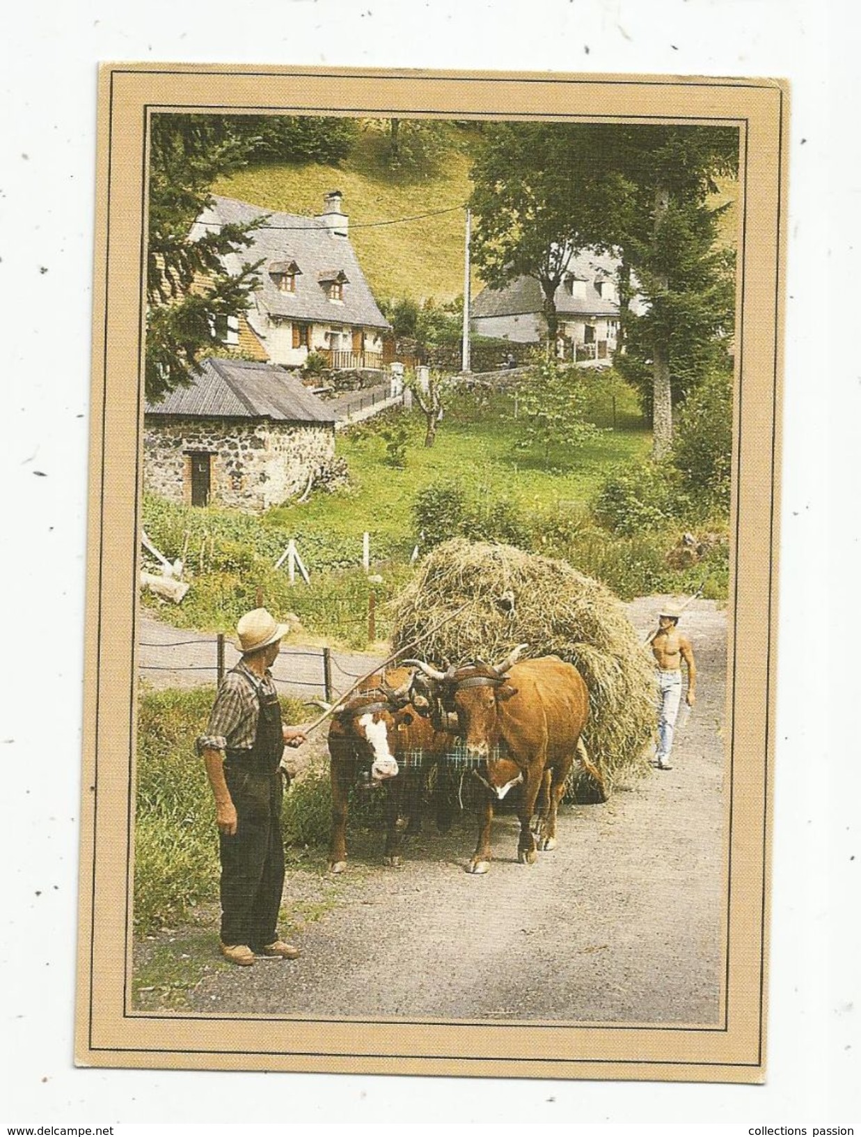 Cp, Agriculture , Attelage De Boeufs Améne Le Char De Foin à La Grange , Voyagée 1991 , Ed : Bos - Spannen