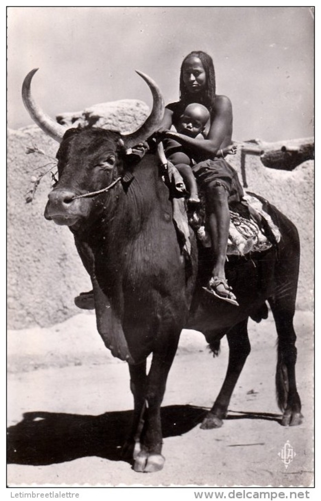 ⭐Afrique - Tchad - Carte Photo - Bœuf Porteur ⭐ - Tchad