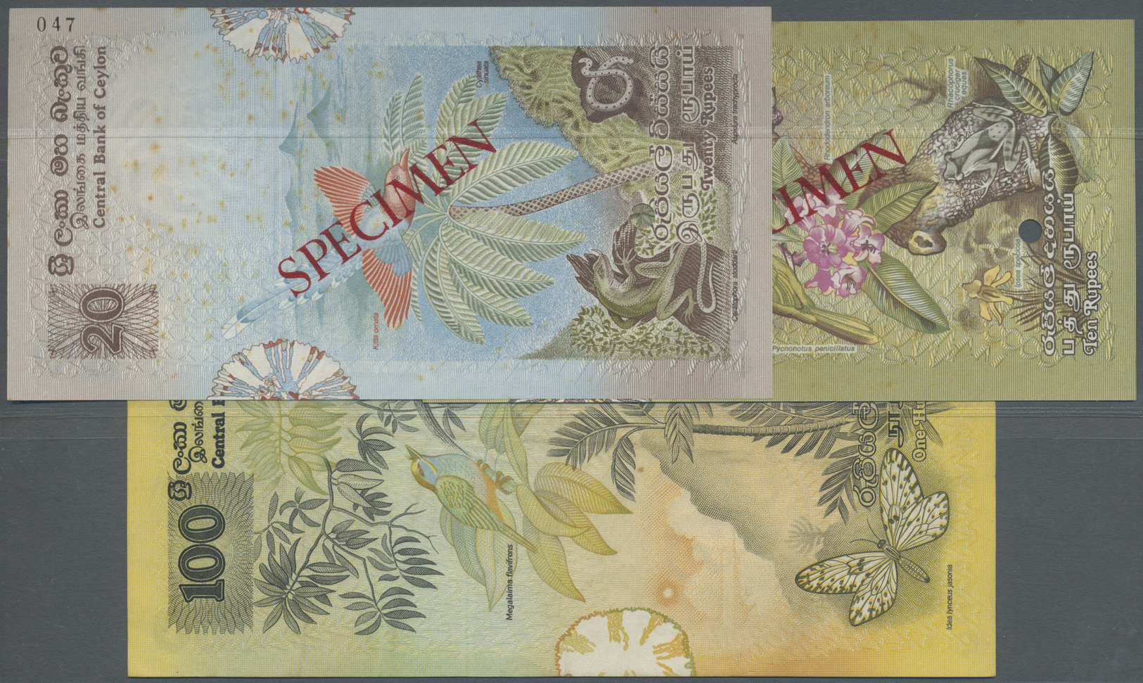 00537 Ceylon: Set Of 3 Specimen Notes 10, 20 And 100 Rupees ND P. 86s-88s In Condition: UNC. (3 Pcs) - Sri Lanka