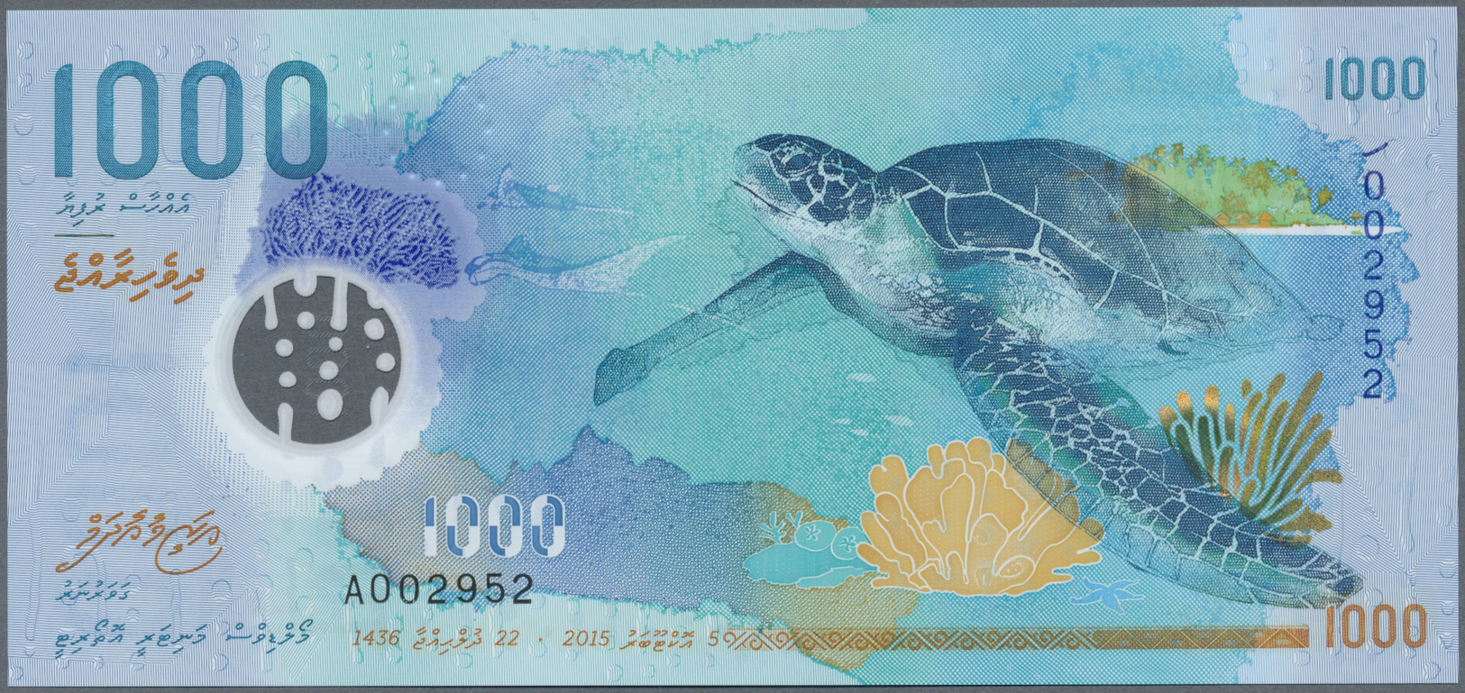 01650 Maldives / Malediven: Beautiful Polymer Note 1000 Rupees 2016 P. New In Condition: UNC. - Maldives