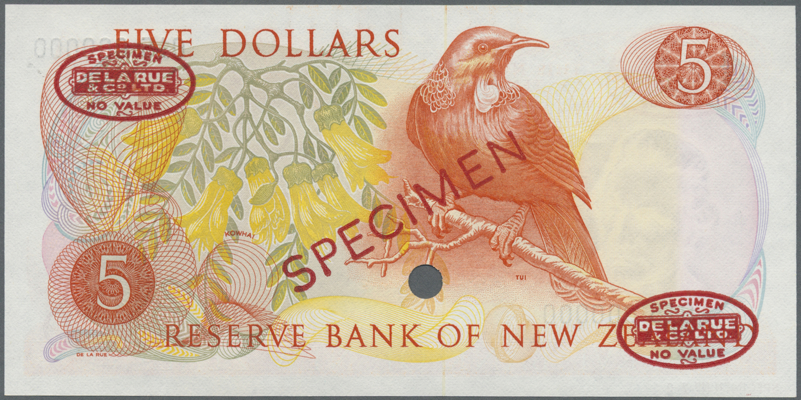 01841 New Zealand / Neuseeland: 5 Dollars ND Specimen P. 165as In Condition: UNC. - New Zealand