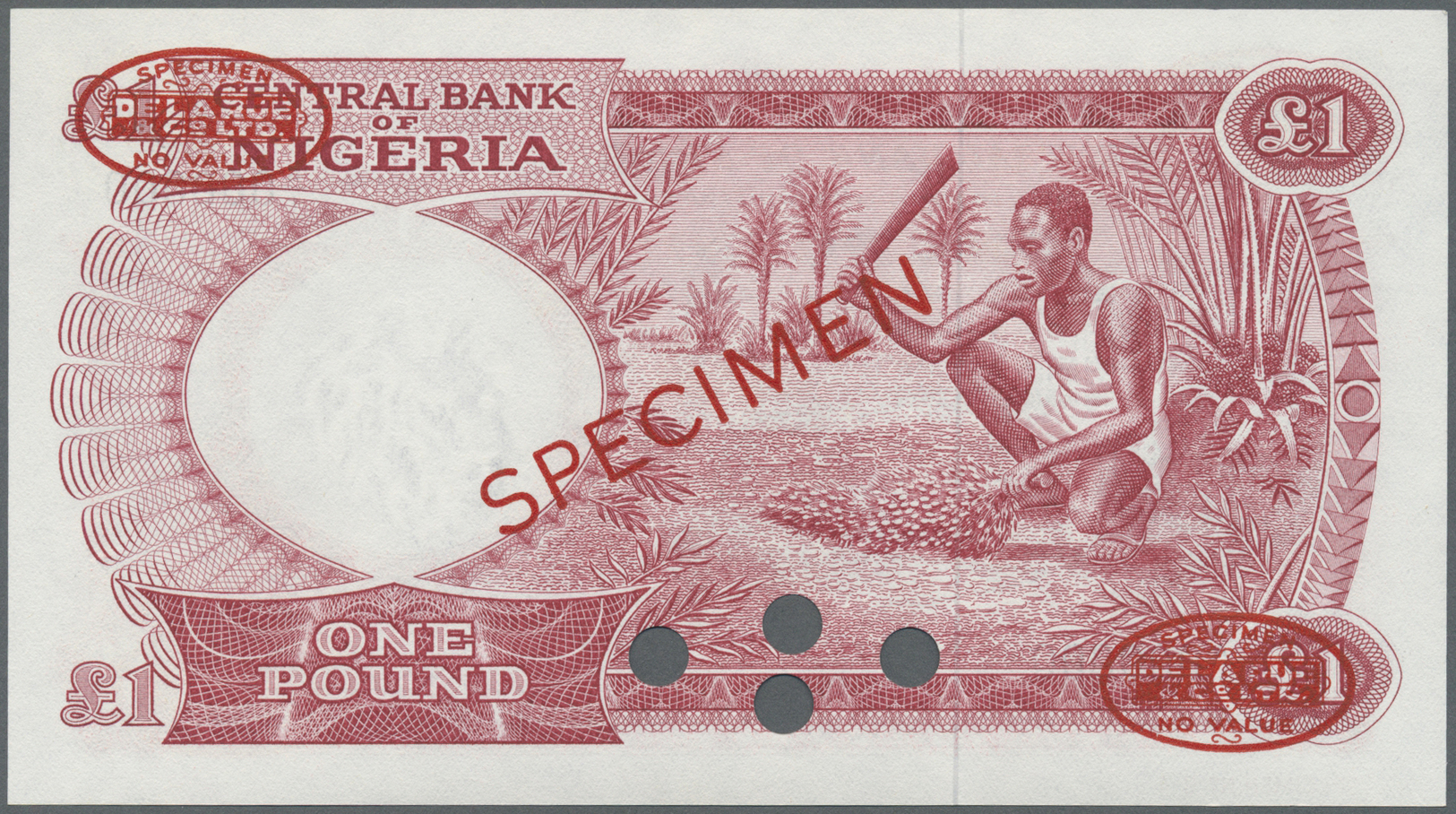 01869 Nigeria: 1 Pound 1967 Specimen P. 8s In Condition: UNC. - Nigeria