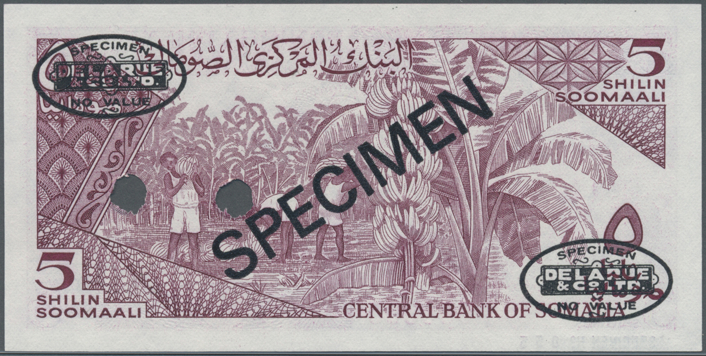 02937 Somalia: 5 Shillings 1983 Specimen P. 31as In Condition: UNC. - Somalie