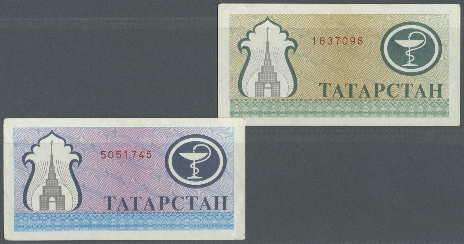 03083 Tatarstan: Pair With 200 Rubles In Blue And Another One In Olive-green Color, P.7a,b. Both Notes With Slightly Sta - Tatarstan