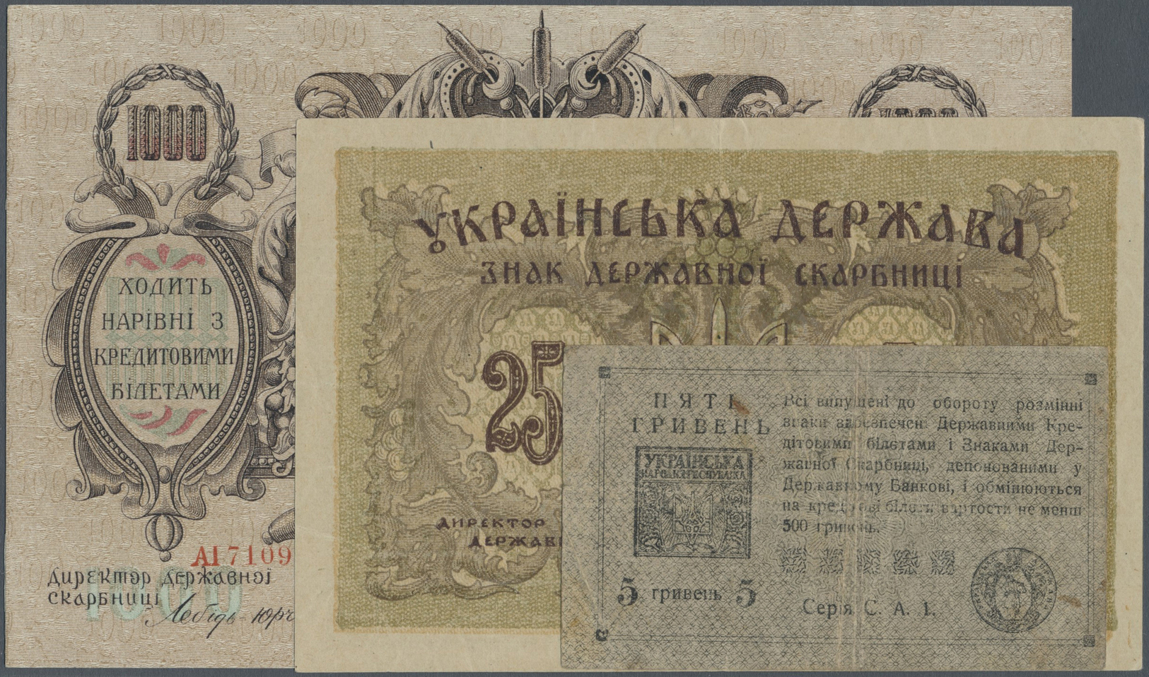 03163 Ukraina / Ukraine: Set Of 3 Banknotes Containing 250 Karbovantsiv 1918 P. 39a (VF+), 1000 Karbovantsiv ND(1920) P. - Ukraine