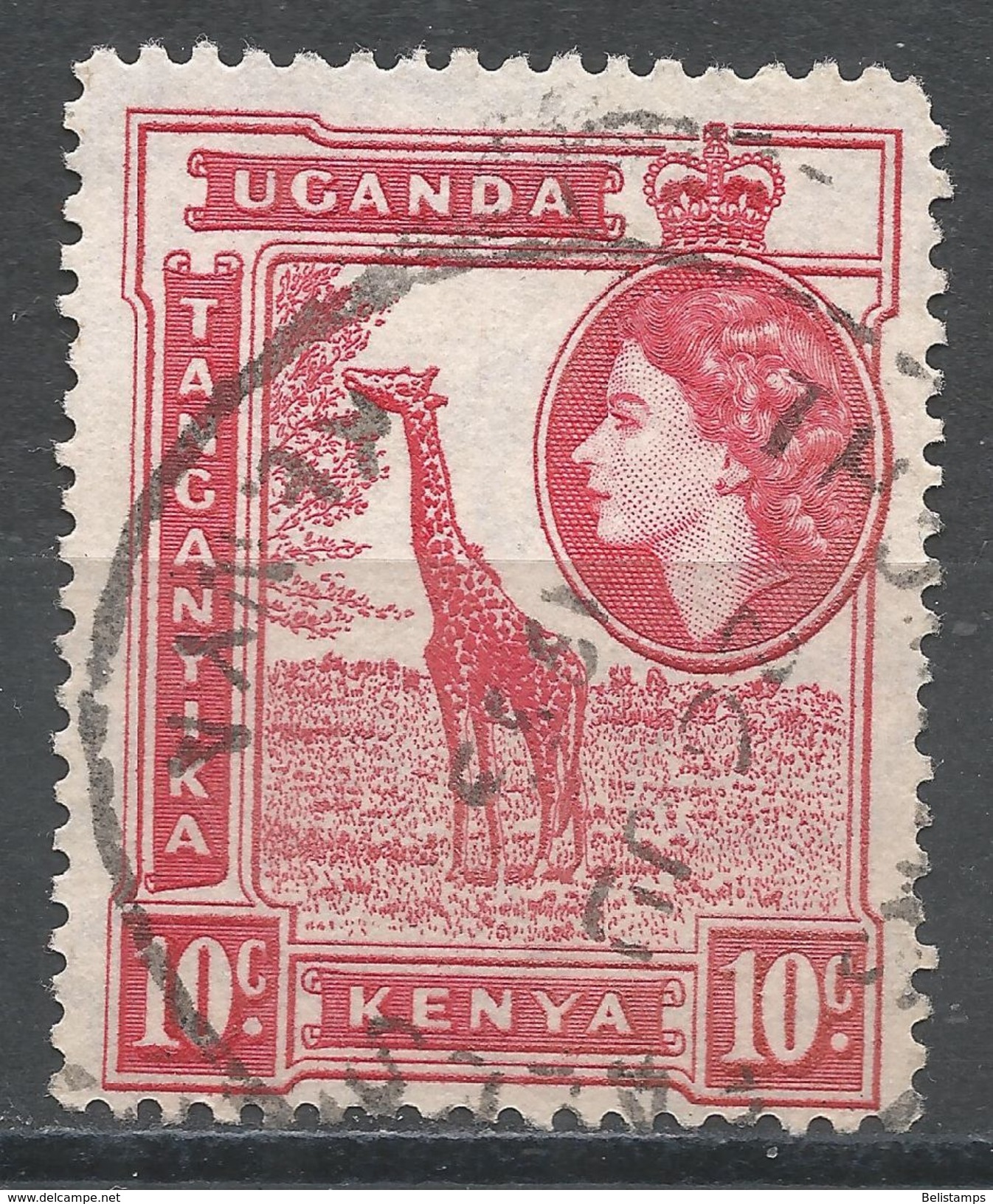 Kenya, Uganda & Tanzania 1954. Scott #104 (U) Giraffe - Kenya, Ouganda & Tanzanie