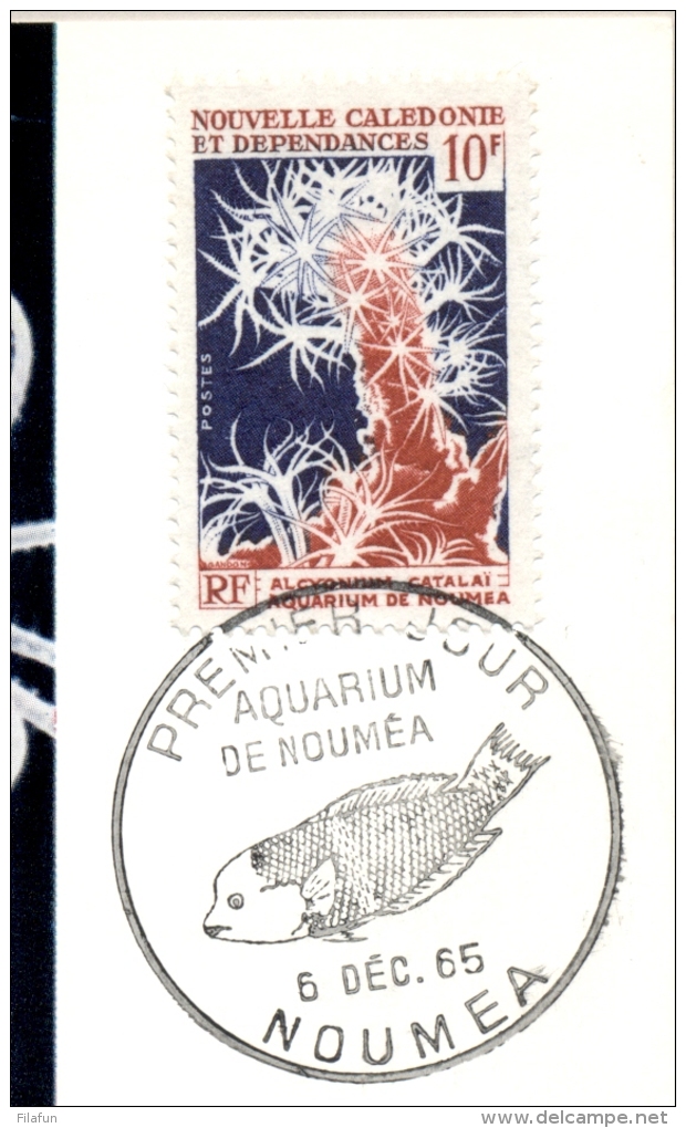 Nouvelle Caledonie - 1965 - 10F Alcyonium Catalai Tixier - Aquarium De Noumea - Fish - Maritiem Leven