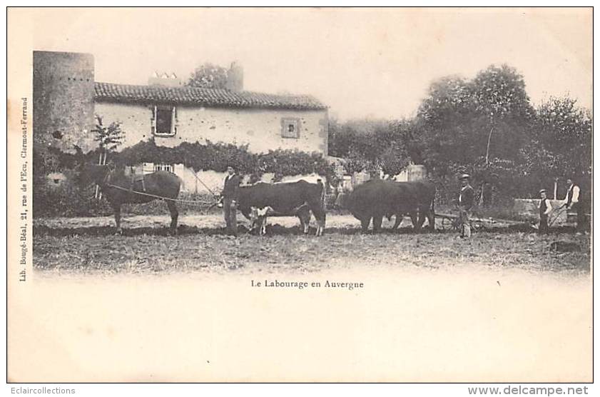 Thème: Agriculture. Battage. Moisson. Labourage En Auvergne     (voir Scan) - Teams