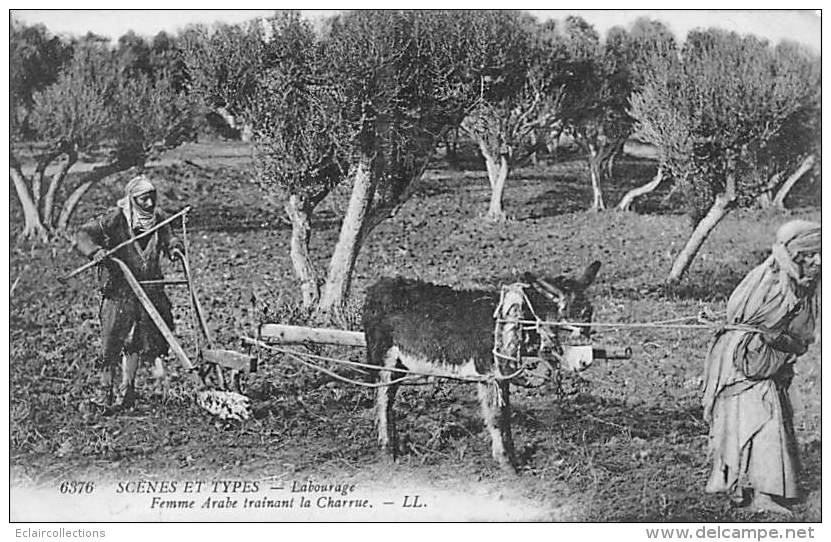 Thème: Agriculture. Battage. Moisson. Anne Au Labour Et Couple Arabe   Non Localisée     (voir Scan) - Wagengespanne