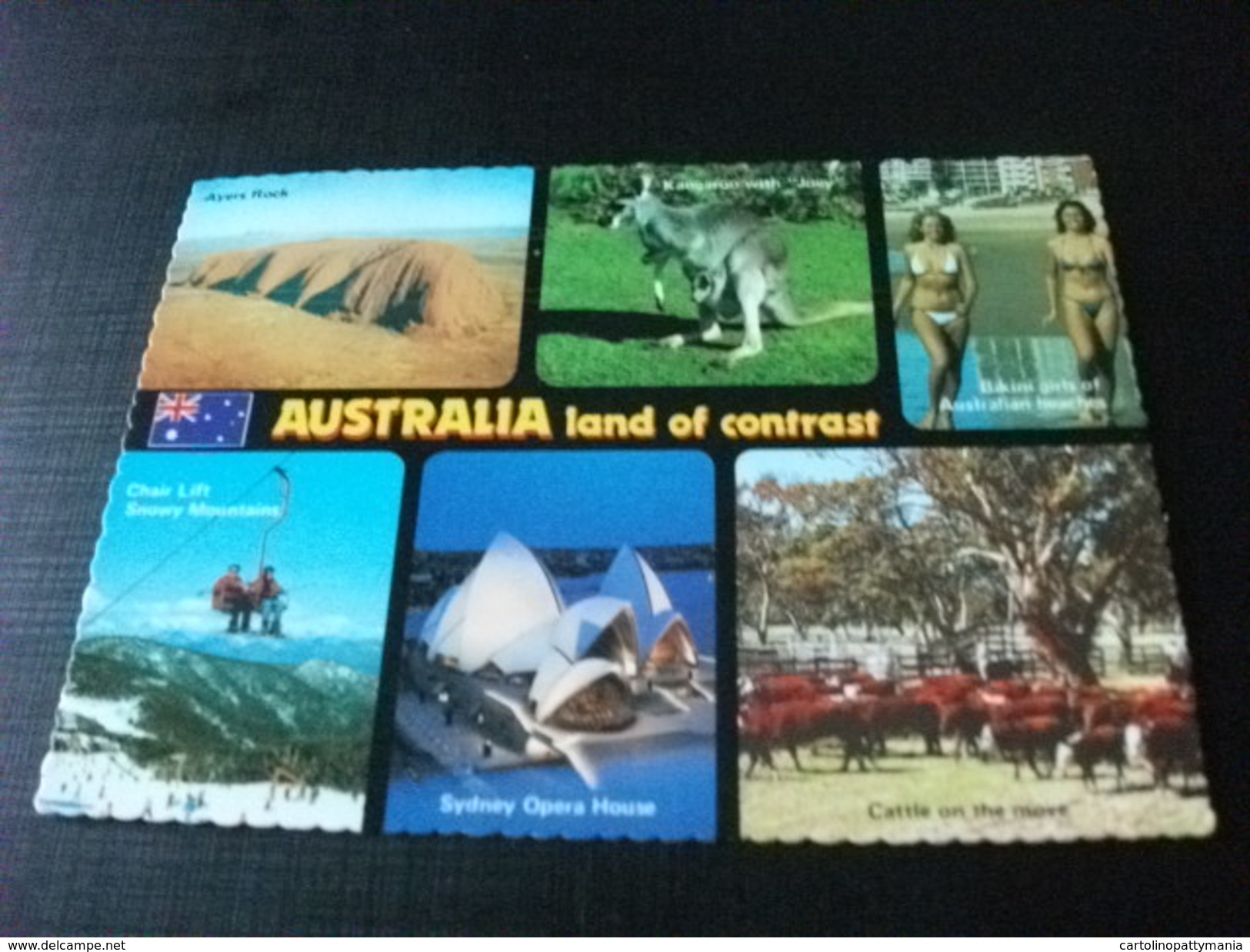 PIN UP COPPIA  CANGURO  MUCCHE VEDUTINE AUSTRALIA LAND OF CONTRAST FRANCOBOLLO PESCE - Altri & Non Classificati