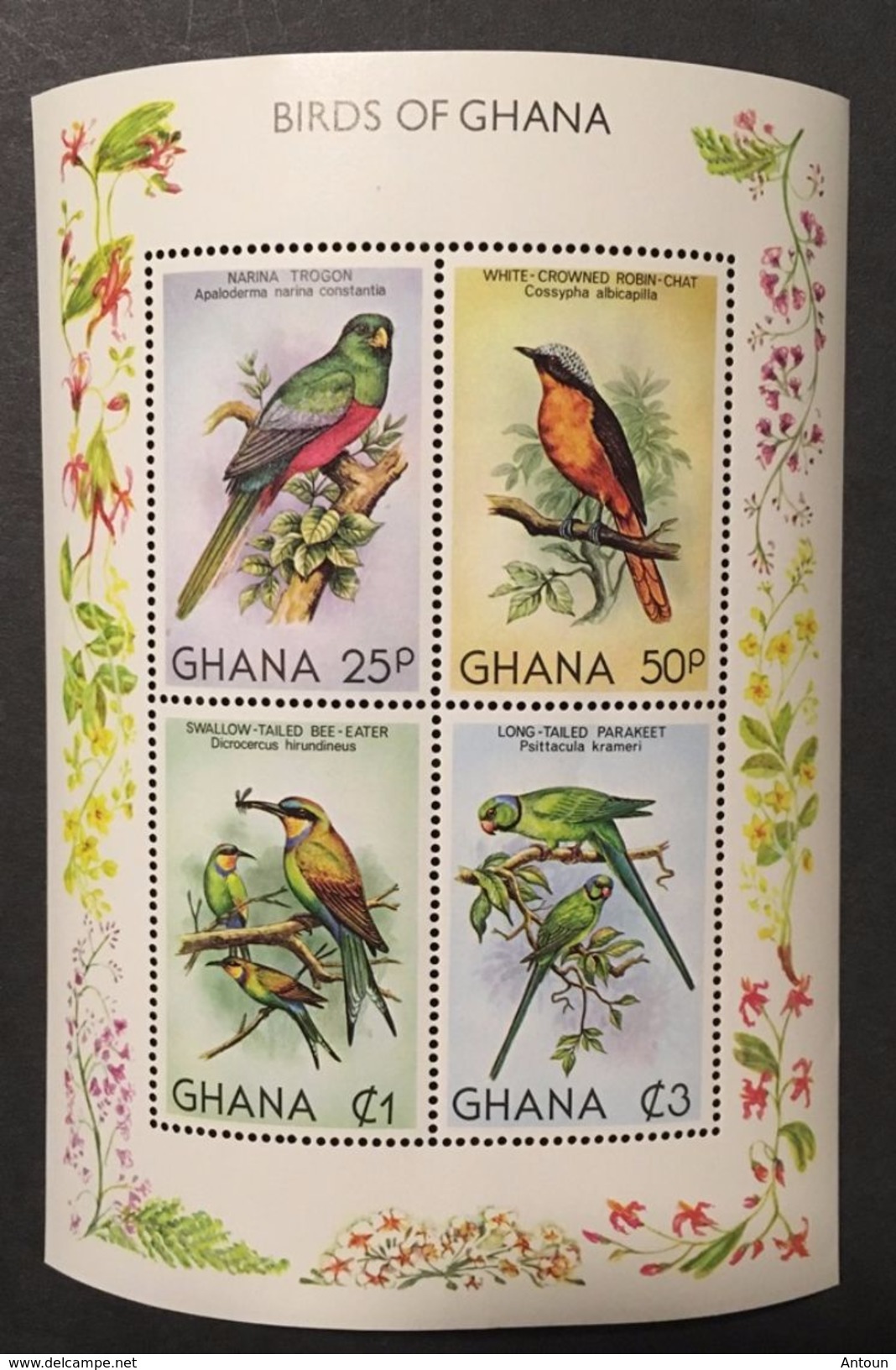 1981 Birds Of Ghana - Ghana (1957-...)