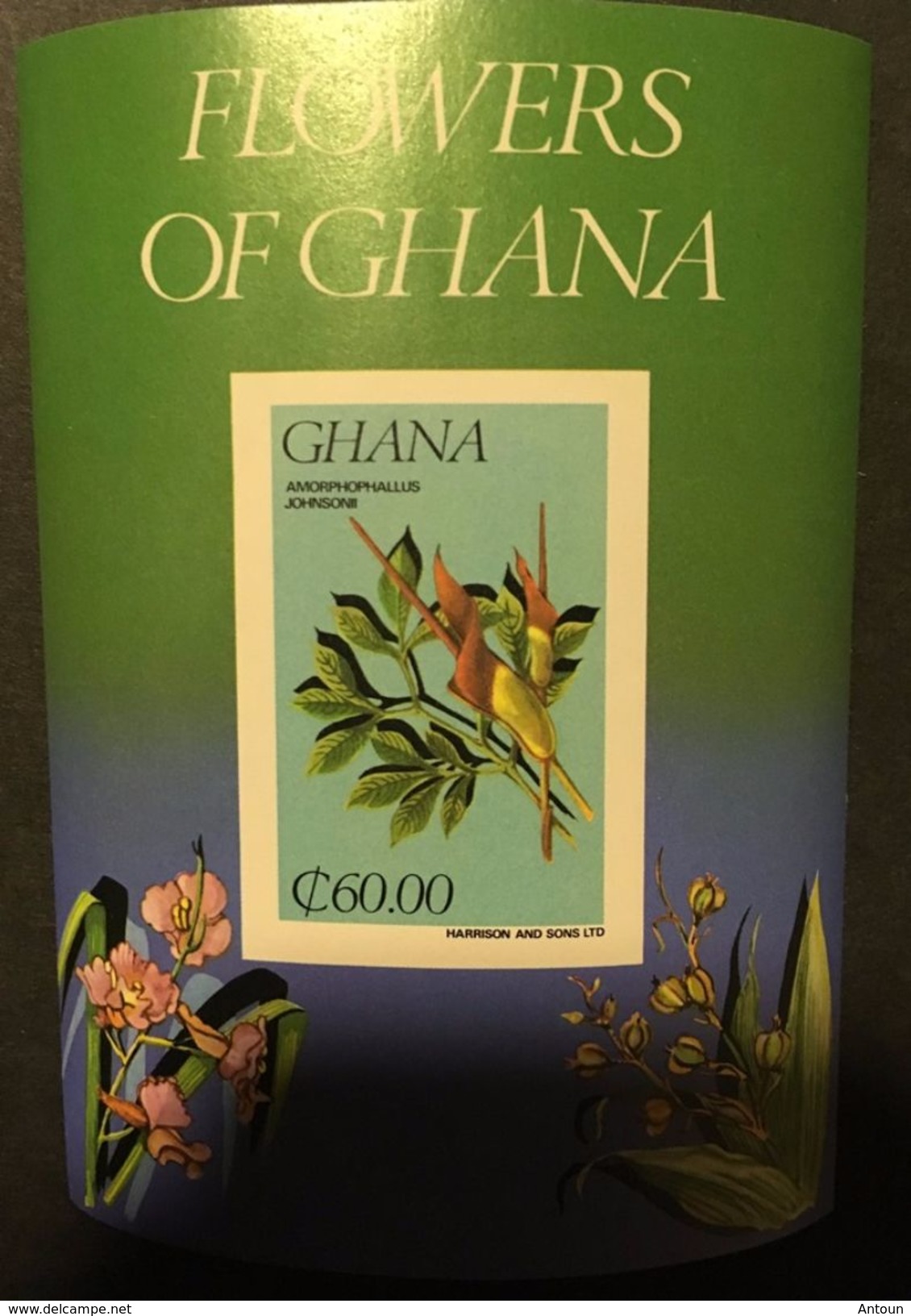 Flowers Of Ghana 1984 S/S POSTAGE TO BE ADDED ON ALL ITEMS - Ghana (1957-...)