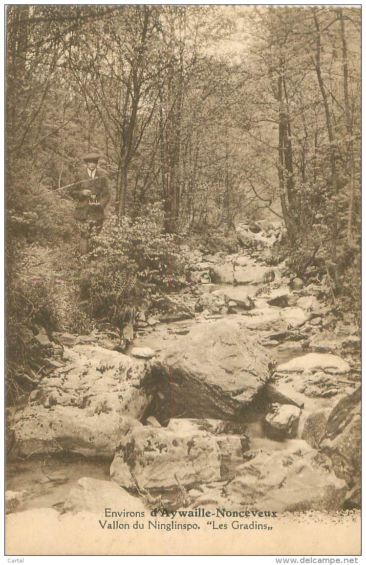 Environs D'AYWAILLE-NONCEVEUX - Vallon Du Ninglinspo.  "Les Gradins". - Aywaille