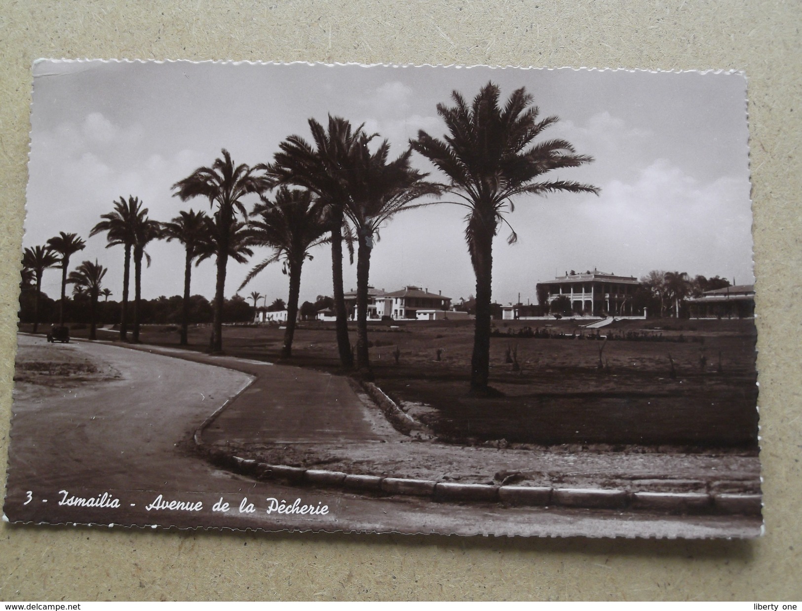 ISMAILIA Avenue De La Pêcherie ( E. Gavalas - 3 ) Anno 19?? ( Details : Zie Foto´s ) !! - Ismailia