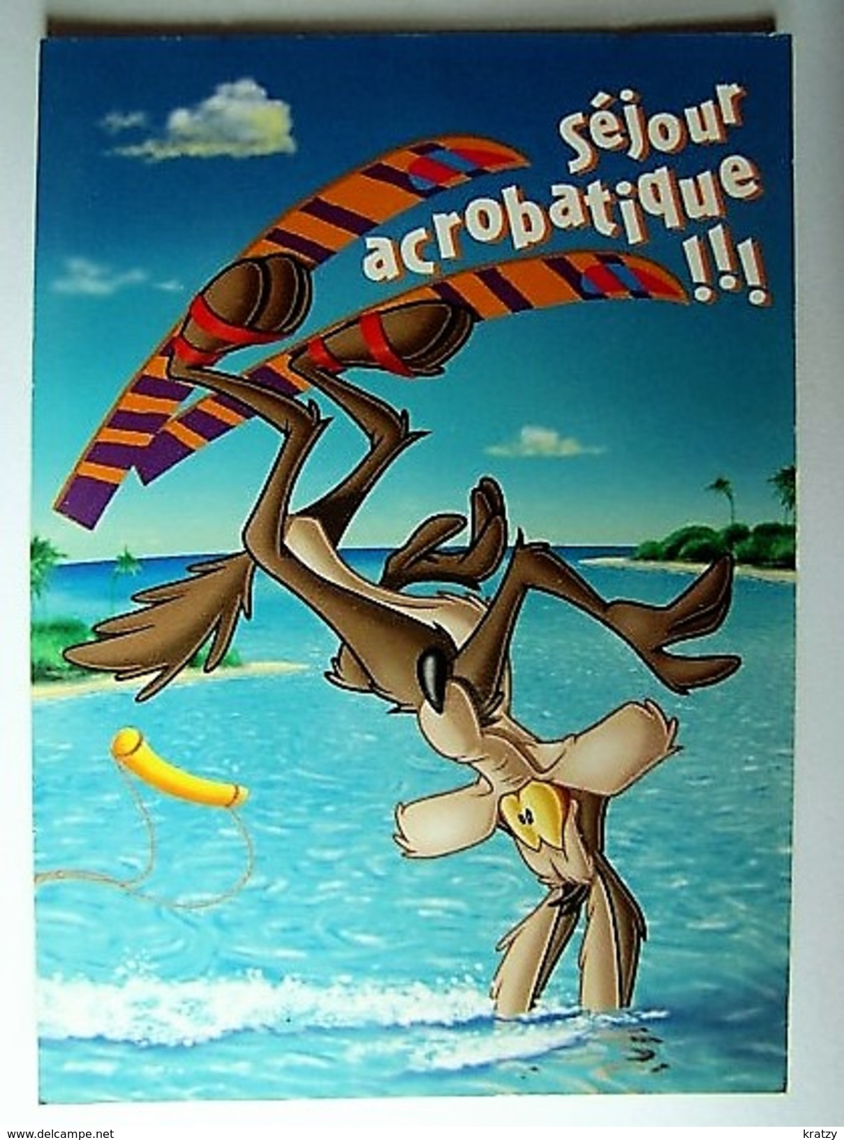 HUMOUR - Looney Tunes - Will Le Coyote - Humor