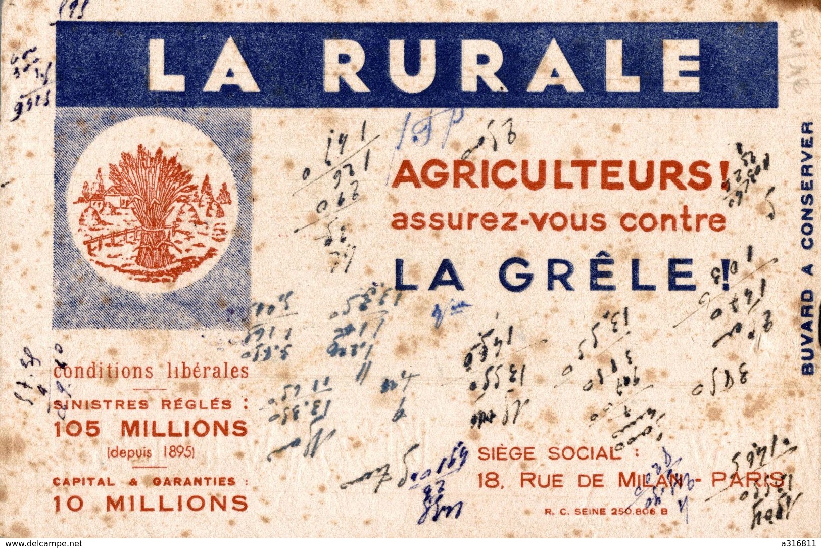 LA RURALE AGRICULTEURS ASSUREZ VOUS CONTRE LA GRELE - Agriculture