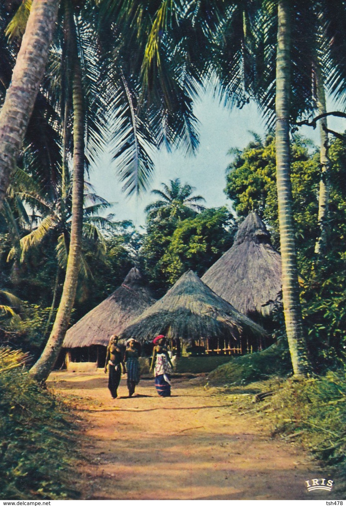 AFRIQUE En Couleurs--village Sous Les Palmes-voir  2 Scans - Non Classés