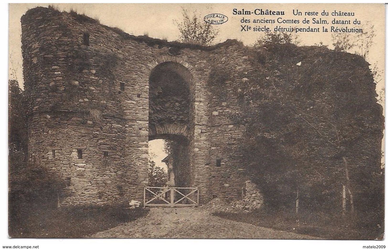 SALM CHATEAU (6690) Un Reste Du Chateau - Vielsalm