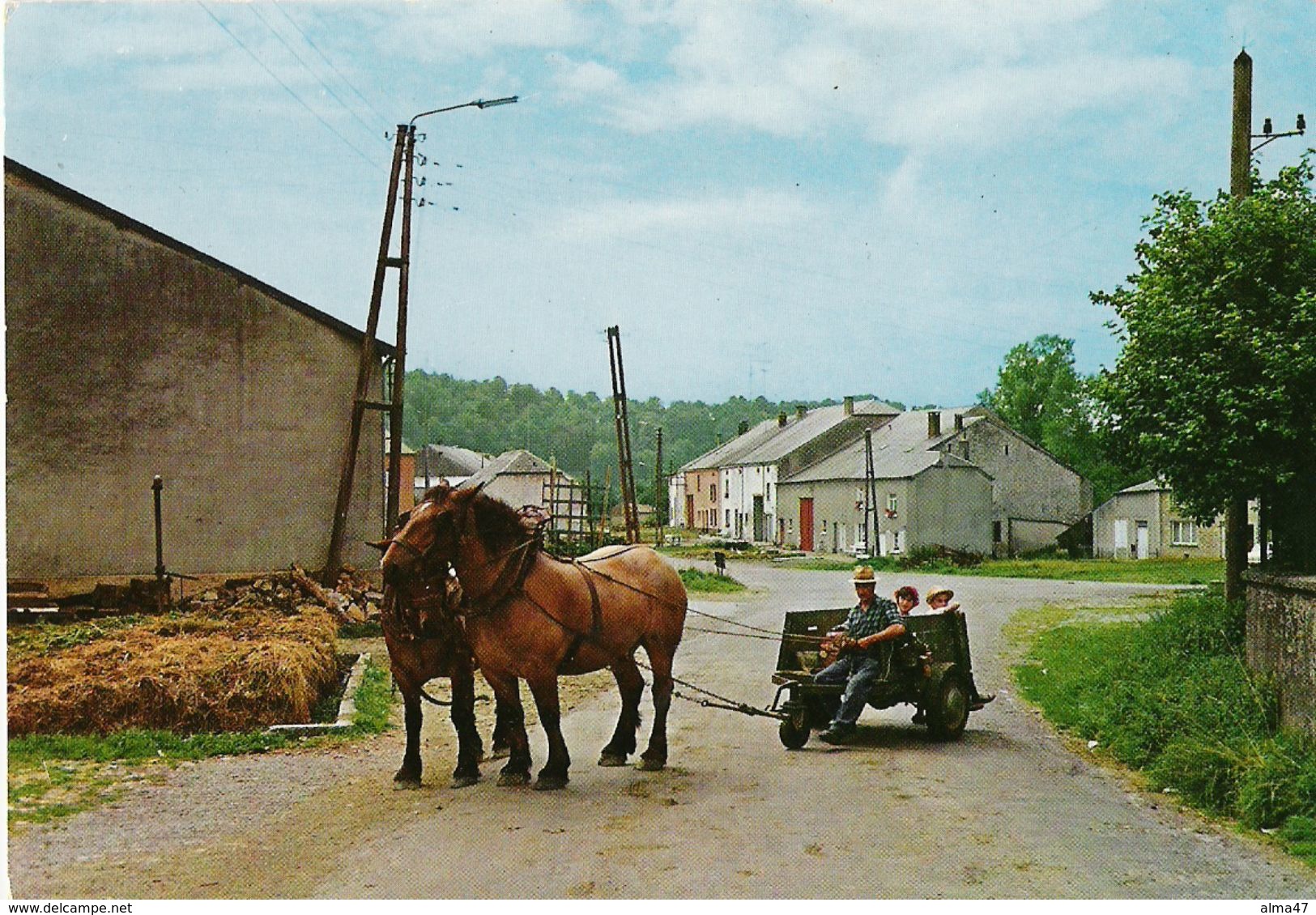 Laiche CPSM - Village Et Chevaux Ardennais - Chassepierre