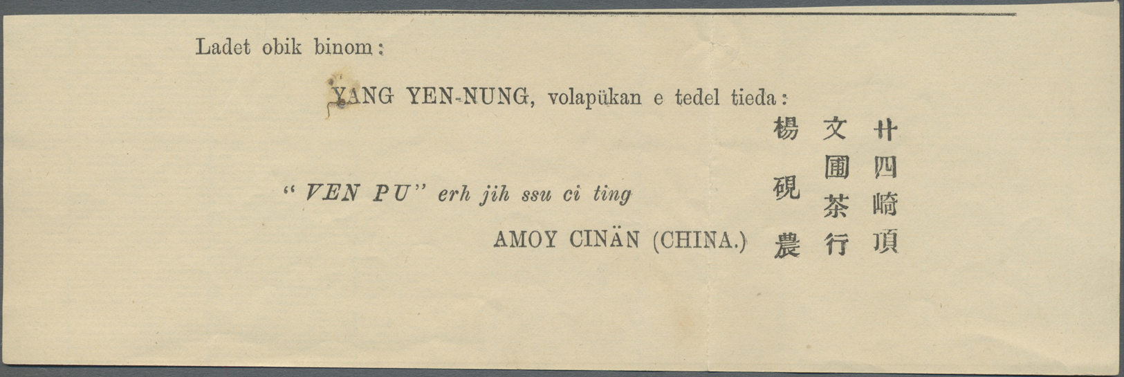 Br China: 1898, Coiling Dragon 10 C. Green Tied Large Dollar "AMOY 4 (MAR 99)" To Cover In Combination W. Hong Kong QV 1 - Other & Unclassified