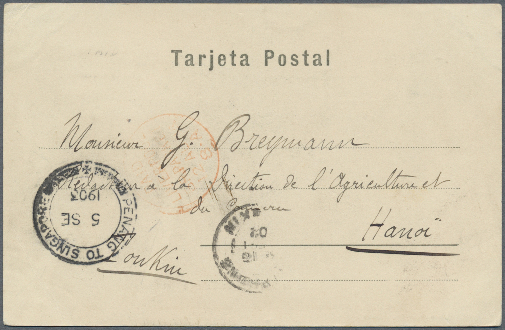 Br Französisch-Indochina: 1903. Picture Post Card Of 'Santa Cruz De Tenerife' Addressed To Hanoi, Tonkin Bearing Spain Y - Lettres & Documents