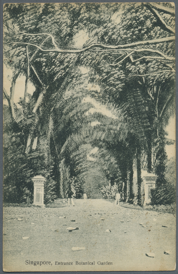 Br Malaiische Staaten - Straits Settlements: 1913. Picture Post Card Of 'The Entrance Of Botanical Garden' Addressed To - Straits Settlements