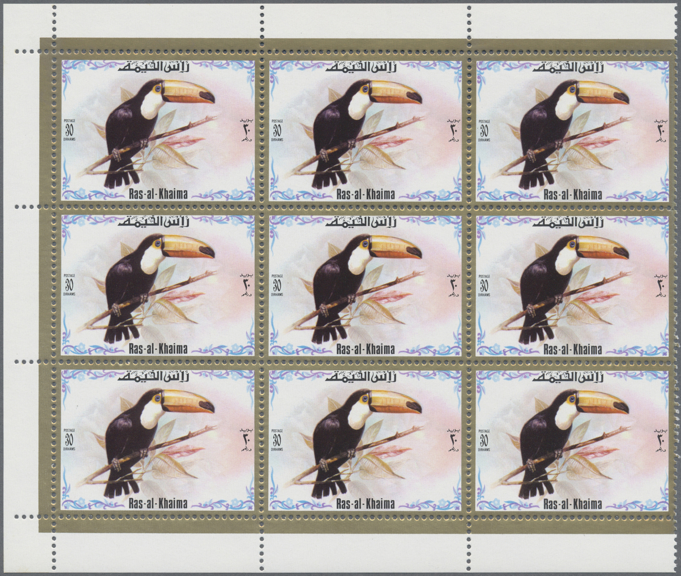 ** Ras Al Khaima: 1972, Toucan Birds, Perforated Issue, Complete Set Of Six Values As Marginal Blocks Of Nine, Unmounted - Ras Al-Khaima
