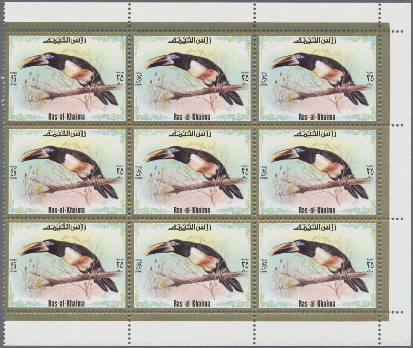 ** Ras Al Khaima: 1972, Toucan Birds, Perforated Issue, Complete Set Of Six Values As Marginal Blocks Of Nine, Unmounted - Ras Al-Khaima
