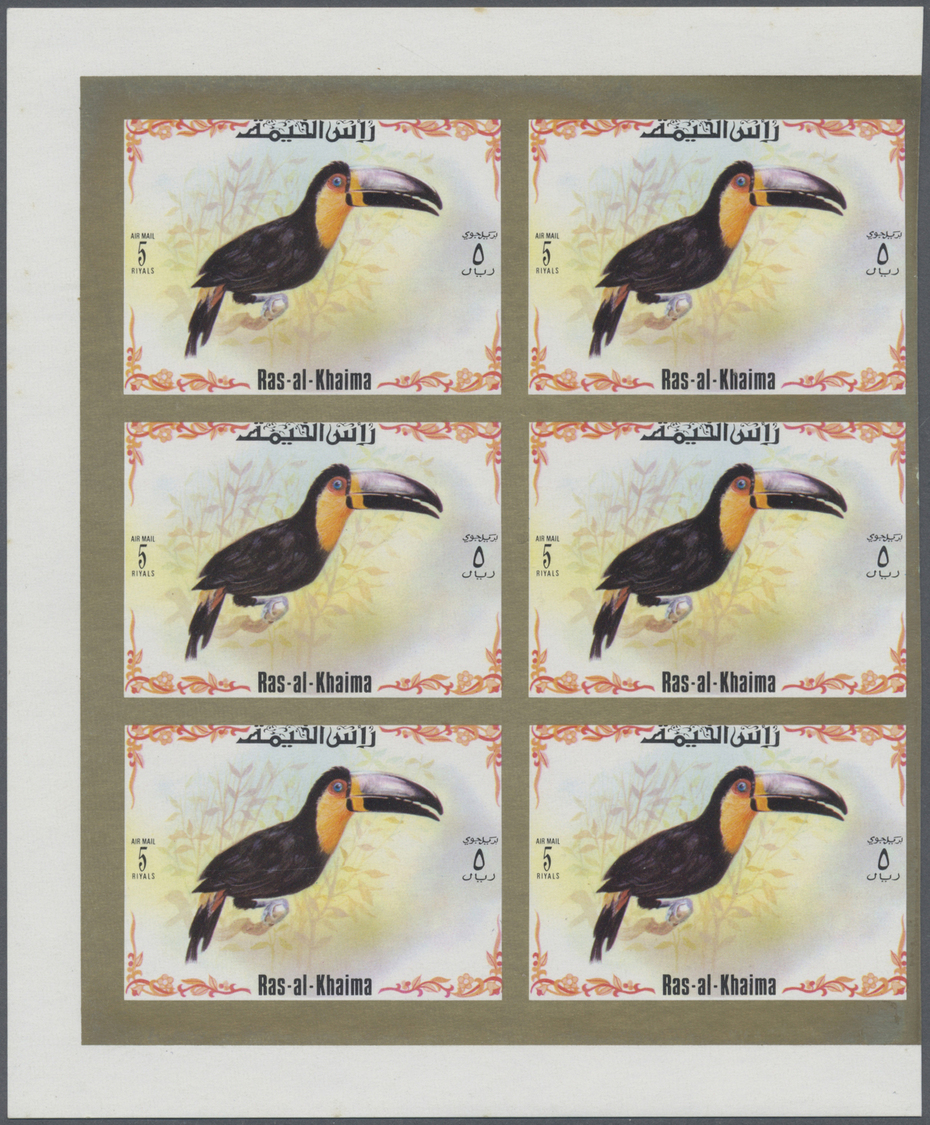 ** Ras Al Khaima: 1972, Toucan Birds, Imperforate Issue, Complete Set Of Six Values As Marginal Blocks Of Six, Unmounted - Ras Al-Khaima