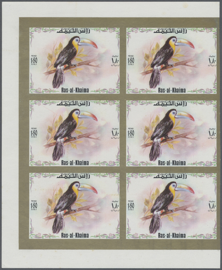 ** Ras Al Khaima: 1972, Toucan Birds, Imperforate Issue, Complete Set Of Six Values As Marginal Blocks Of Six, Unmounted - Ras Al-Khaima