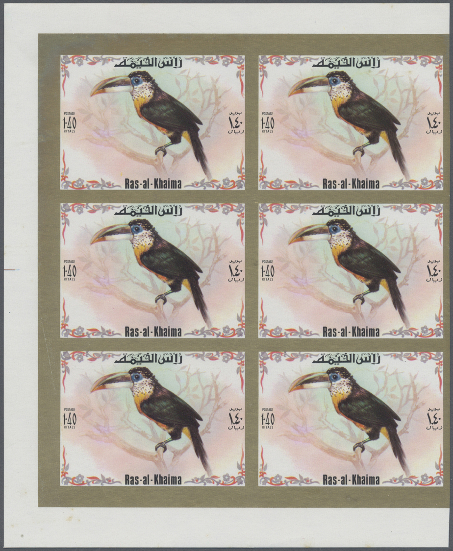 ** Ras Al Khaima: 1972, Toucan Birds, Imperforate Issue, Complete Set Of Six Values As Marginal Blocks Of Six, Unmounted - Ras Al-Khaima