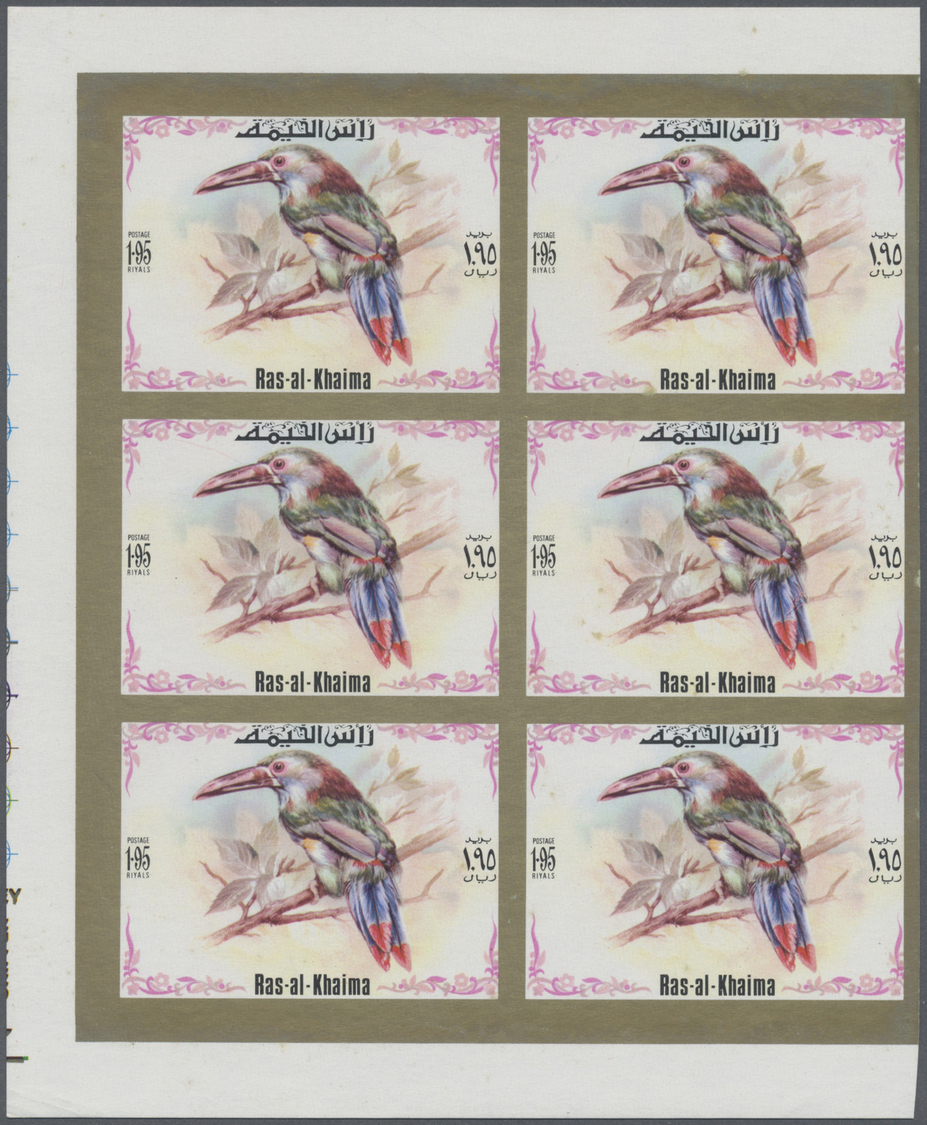 ** Ras Al Khaima: 1972, Toucan Birds, Imperforate Issue, Complete Set Of Six Values As Marginal Blocks Of Six, Unmounted - Ras Al-Khaima