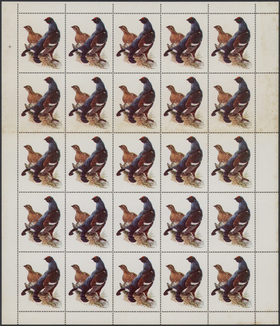 ** Schardscha / Sharjah: 1972, Birds, 20dh. "Black Grouse" Showing Variety "Missing Value And Country Name", Complete Sh - Sharjah