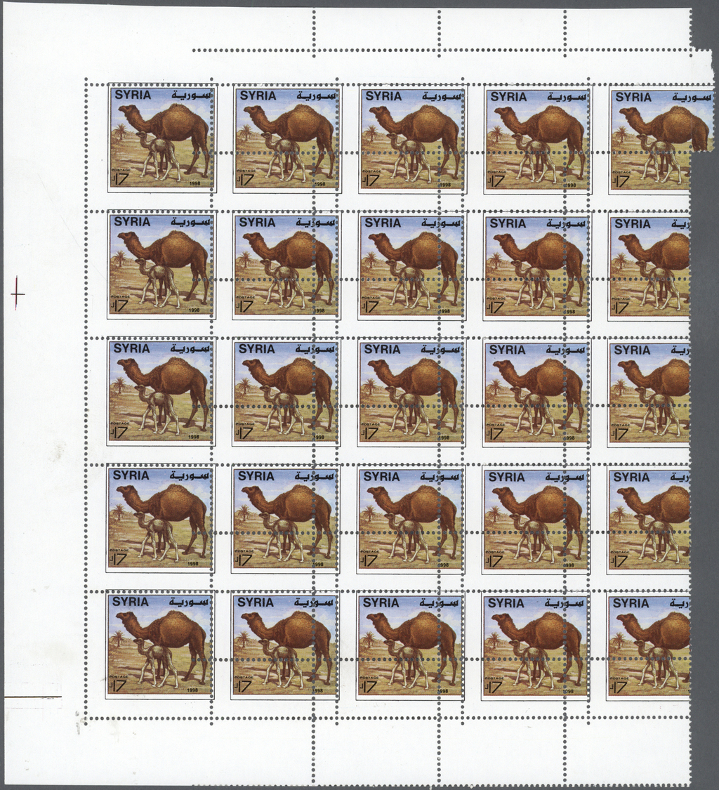 ** Syrien: 1998, £17 Dromedary, Block Of 25 Stamps, Completely Misperforated, Unmounted Mint. - Syria