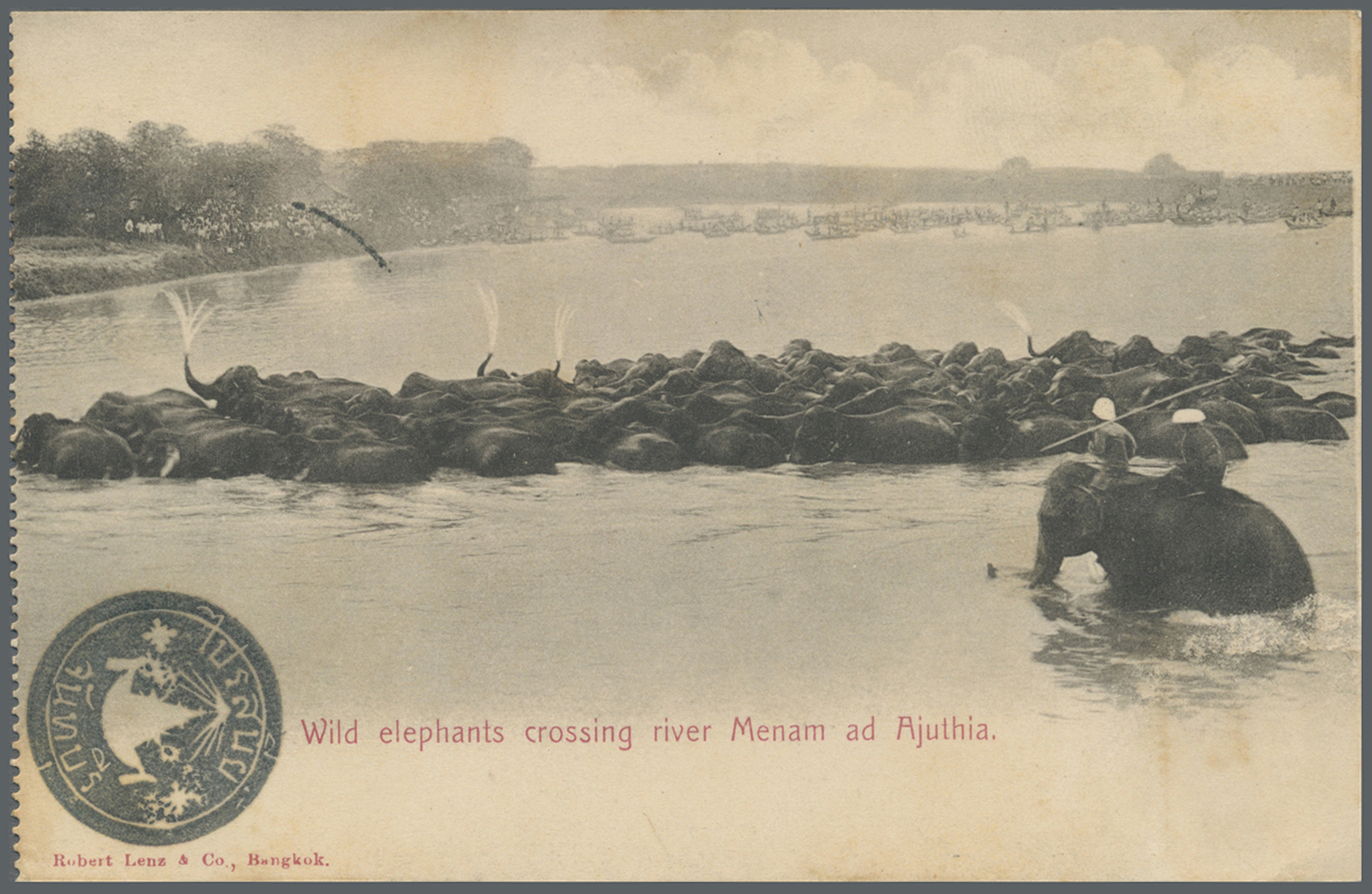 Br Thailand - Besonderheiten: 1904, FRENCH OCCUPATION OF CHANTABOON. 1904. Picture Post Card Of 'Wild Elephants Crossing - Thaïlande