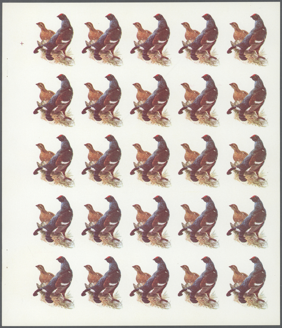 ** Schardscha / Sharjah: 1972. Progressive Proof (6 Phases) In Complete Sheets Of 25 For The 20dh Value Of The BIRDS Ser - Sharjah