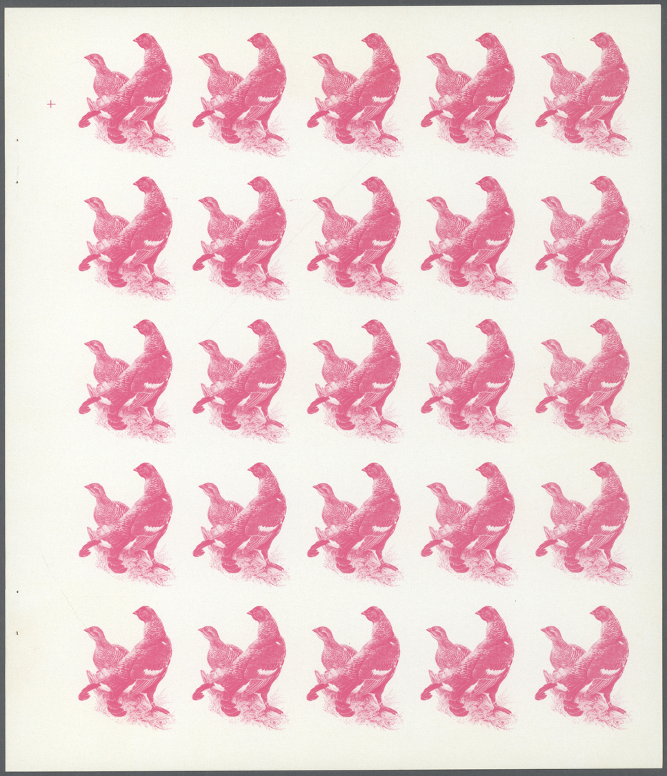 ** Schardscha / Sharjah: 1972. Progressive Proof (6 Phases) In Complete Sheets Of 25 For The 20dh Value Of The BIRDS Ser - Sharjah