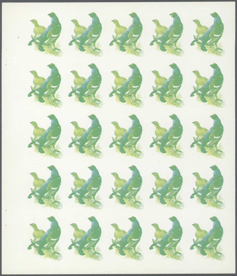 ** Schardscha / Sharjah: 1972. Progressive Proof (6 Phases) In Complete Sheets Of 25 For The 20dh Value Of The BIRDS Ser - Sharjah