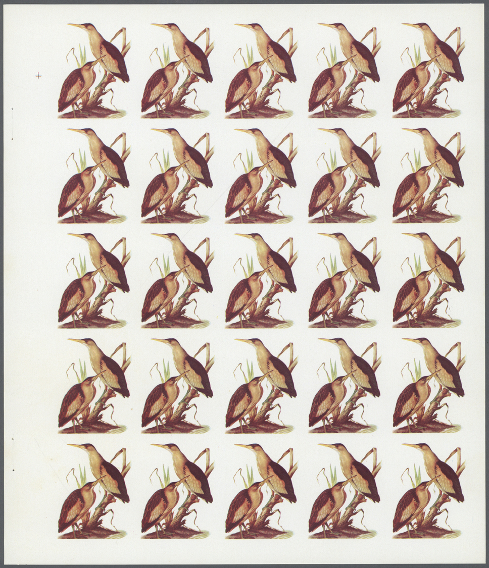 ** Schardscha / Sharjah: 1972. Progressive Proof (5 Phases) In Complete Sheets Of 25 For The 75dh Value Of The BIRDS Ser - Sharjah