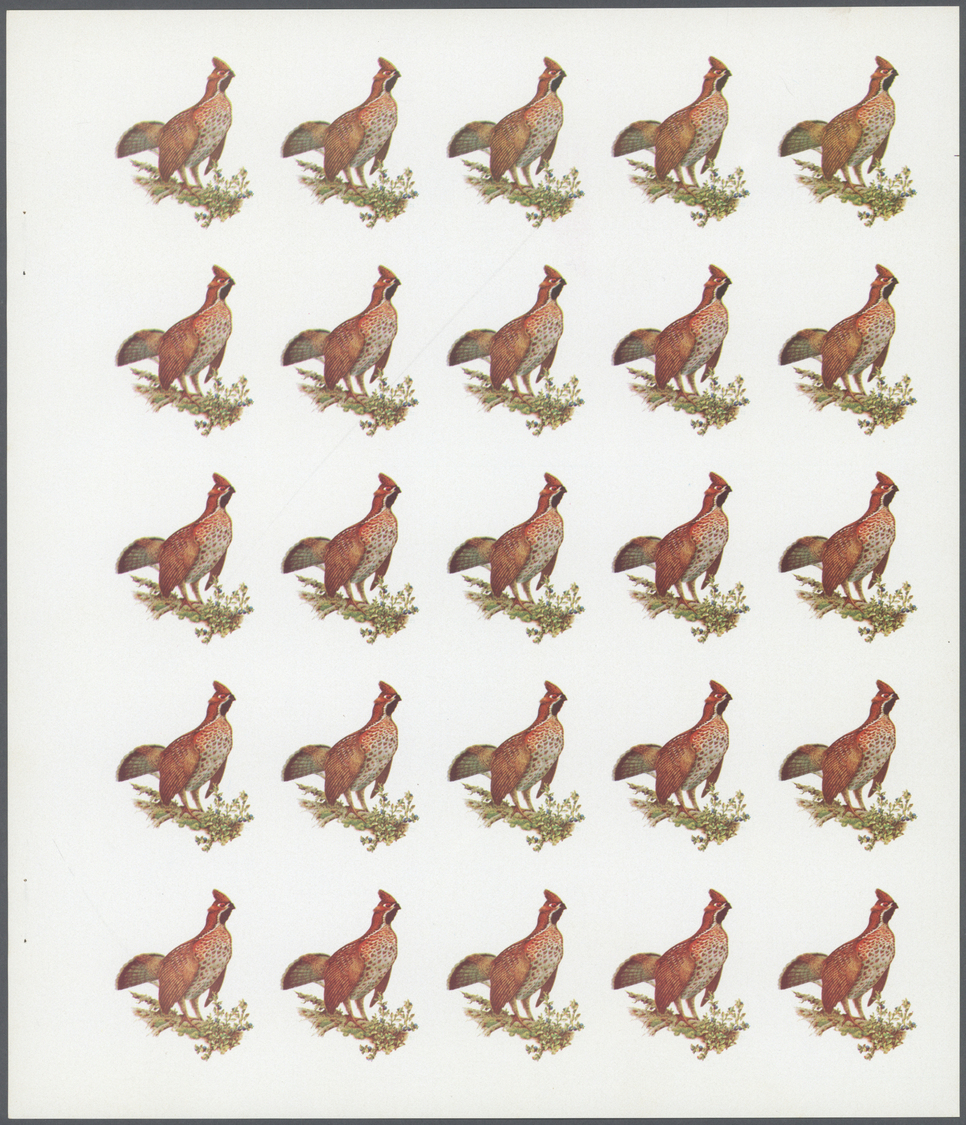 ** Schardscha / Sharjah: 1972. Progressive Proof (7 Phases) In Complete Sheets Of 25 For The 1r Value Of The BIRDS Serie - Sharjah