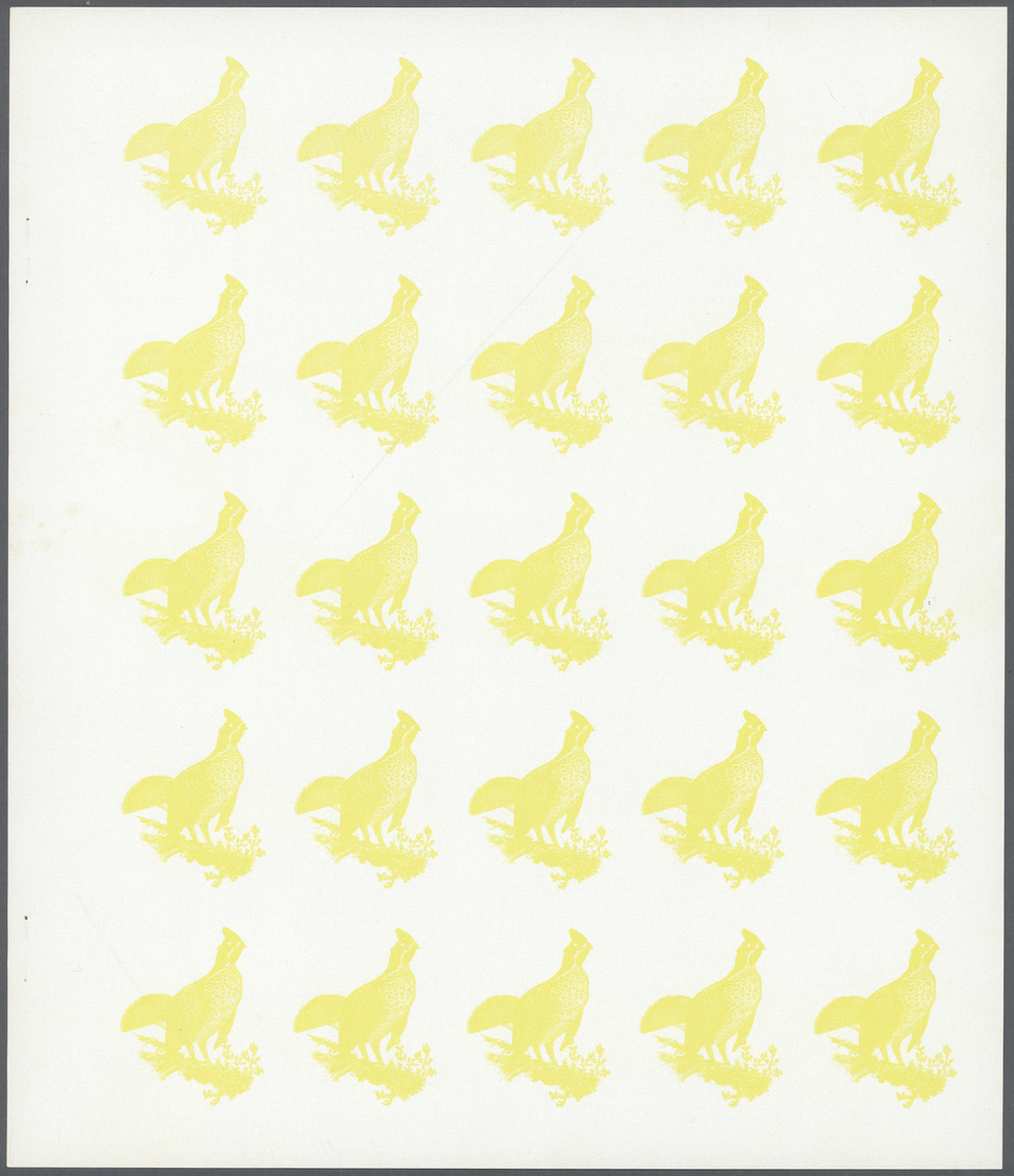 ** Schardscha / Sharjah: 1972. Progressive proof (7 phases) in complete sheets of 25 for the 1r value of the BIRDS serie