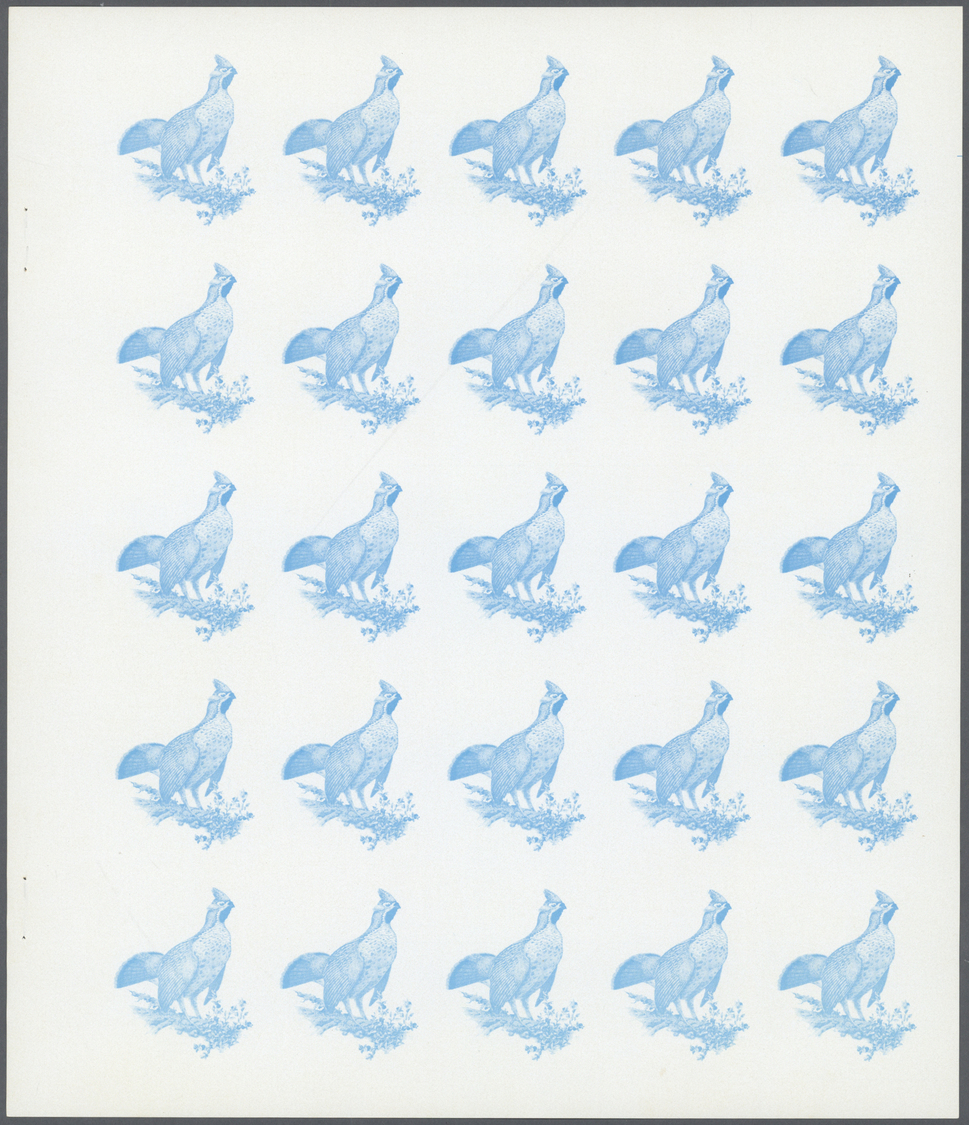 ** Schardscha / Sharjah: 1972. Progressive proof (7 phases) in complete sheets of 25 for the 1r value of the BIRDS serie