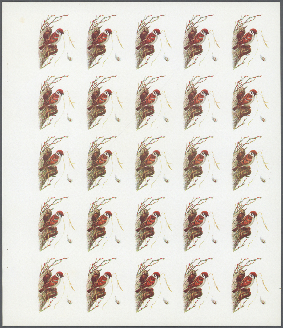 ** Schardscha / Sharjah: 1972. Progressive Proof (6 Phases) In Complete Sheets Of 25 For The 2r Value Of The BIRDS Serie - Sharjah