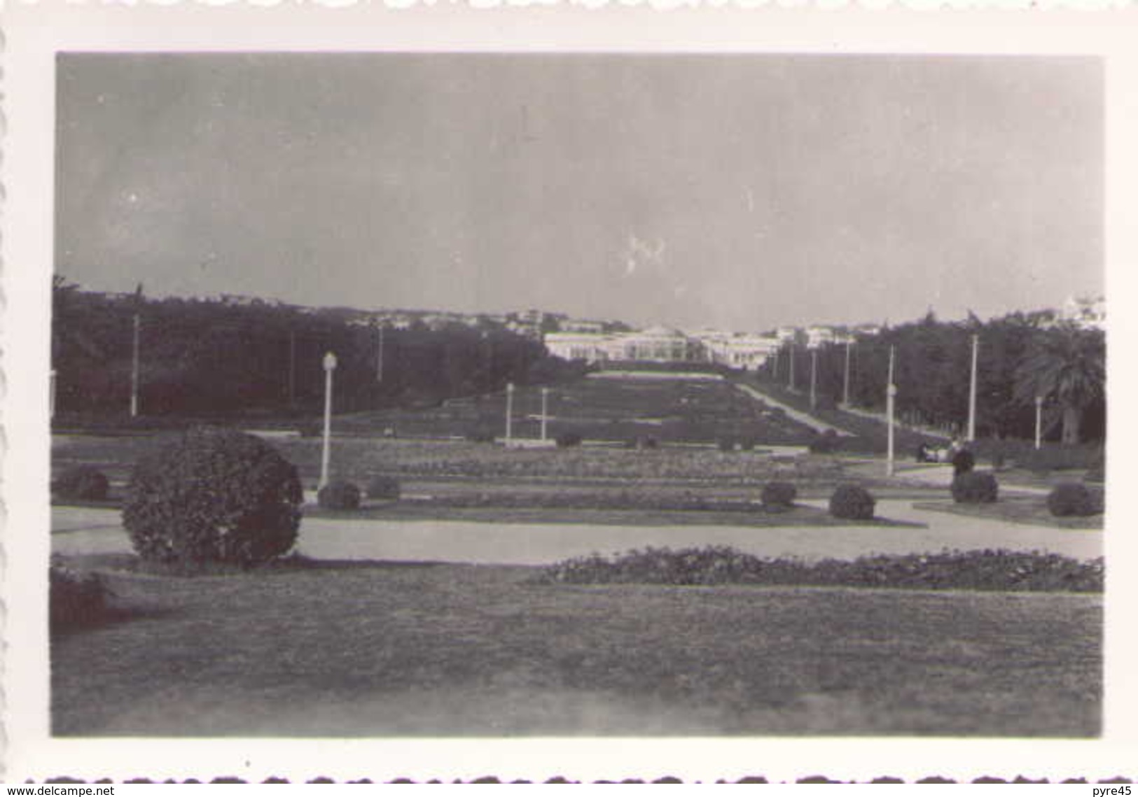 PHOTO PORTUGAL ESTORIL LE JARDIN FEVRIER 1949 9 X 6 CM - Lieux