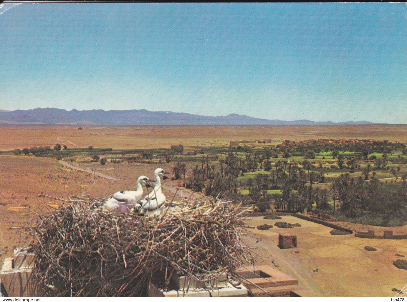 MAROC-----SUD MAROCAIN--vue Générale Prise De La Kasbab De Tifoultoot--voir  2 Scans - Autres & Non Classés